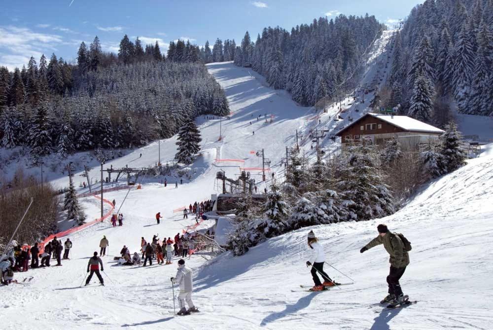 Au D'aline - Atypique Pour 4 Personnes * Gerardmer