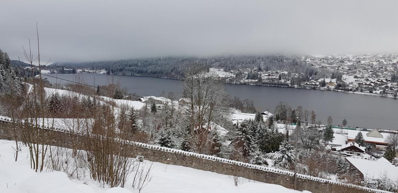 Chalet Au D'aline - Atypique Pour 4 Personnes Gerardmer