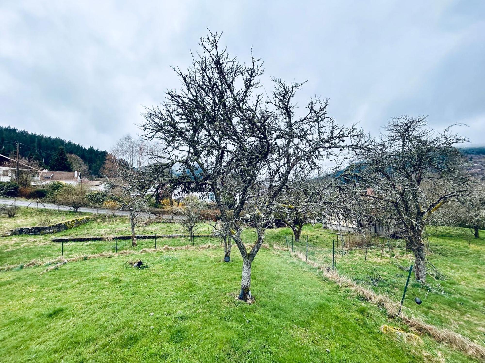 Au D'aline - Atypique Pour 4 Personnes * Gerardmer
